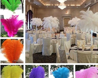 100 pcs 8"-16" Wholesale beautiful ostrich feathers for Centerpieces Wedding/centrepieces