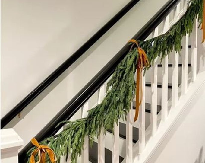 10ft20ft Bannister Fresh Touch Norfolk Pine Garland/vines for Wedding
