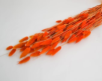 2oz- 150pc Piece ORANGE BUNNY TAILS 26"/Pampas Bundle/Home Decor/Rustic Wedding Decor/Dried Bunny Tail/Ivory Pampas/Natural Pampas/