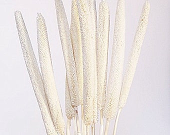 Babala blanche de 28 po. sur des bâtons/Branches/Décor de centre de table/Pays des merveilles de l'hiver/Branches de décoration/Branches dorées/Décoration d'intérieur