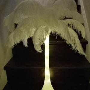 Light Up Vase Ostrich Feather Centerpiece for Weddings/Birthday/Holiday parties/Great Gatsby/ Roaring 20&#39;s/Hollywood Glam Themes