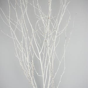 WHITE PAINTED BRANCHES/Curly Twigs/Branches/Centerpiece decor/ Decoration Branches/Gold Branches/White Birch Branches