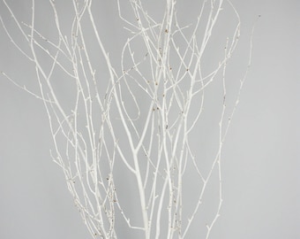 WHITE PAINTED BRANCHES/Curly Twigs/Branches/Centerpiece decor/ Decoration Branches/Gold Branches/White Birch Branches