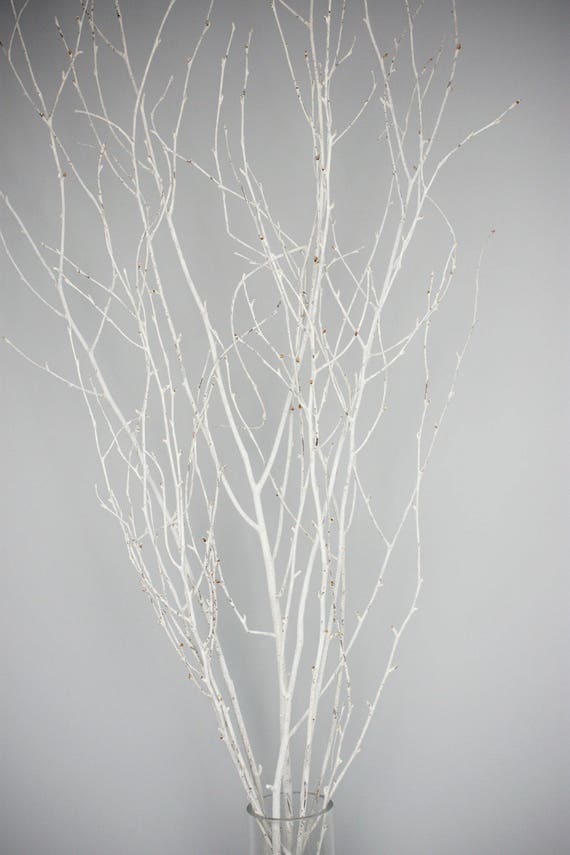 Twigs & Branches Floral - Ostrich Feather