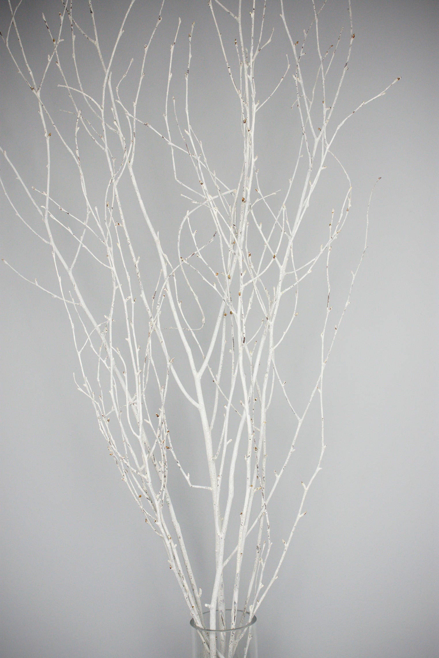 Birch Branches, White Sparkle, 20 Bundles