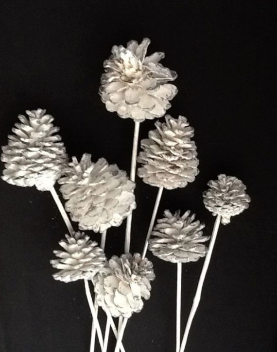 Natural Pinecone on Stick - Single Stem Natural Pinecone on Stick - Single Stem