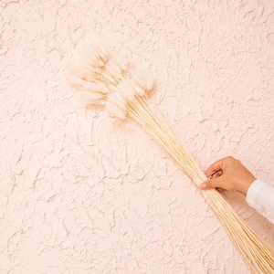 May include: A bunch of dried pampas grass with white fluffy plumes, held by a hand against a light pink textured wall.