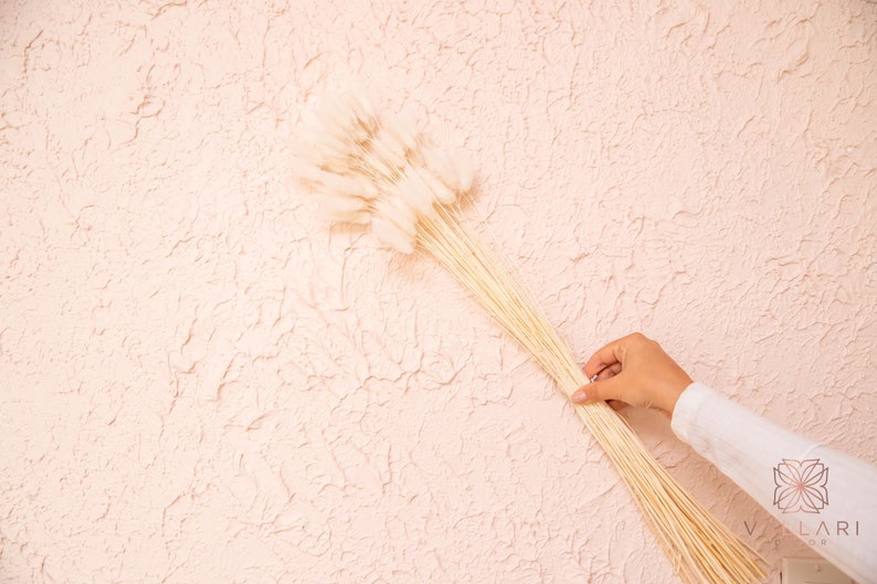 May include: A bunch of dried pampas grass with white fluffy plumes, held by a hand against a light pink textured wall.