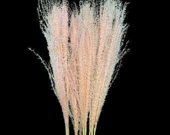MINI 28" 10pc Light Pink Horsetail Grass Bundle/Pampas Bundle/Home Decor/Rustic Wedding Decor/Brown Pampas/Ivory Pampas/Natural Pampas/