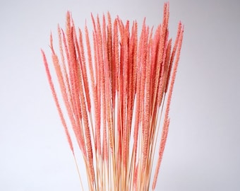 71 cm kleine Lieschgras/blaue Pampasgras/verschiedene Größen/Wohnkultur/Hochzeitsdeko/Dusty Blue Hochzeit/Mini Pampas/Hochzeitsdeko