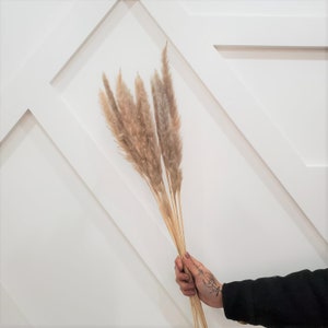 10pc MINI 30&quot; TAN Pampas /NATURAL pampas Grass/Assorted Sizes/Home Decor/Wedding Decor/Dusty Blue Wedding/Mini Pampas/Wedding Decor