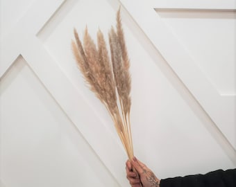 Puede incluir: Un ramo de hierba de la pampa seca con tonos naturales beige y marrón. Los tallos están agrupados y sostenidos por una mano.