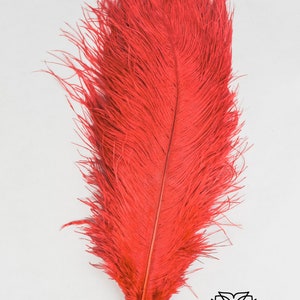 100 Pcs 816 Wholesale Beautiful Ostrich Feathers for Centerpieces ...
