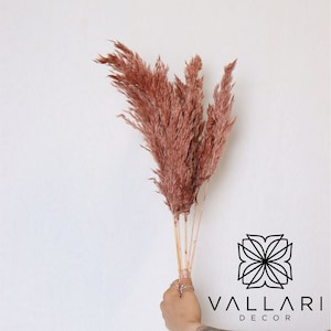 6PC 30&quot; Dark Rose Pampas Grass/Bundle/Home/Rustic Wedding Decor/Brown Pampas/Ivory Pampas/Natural Pampas/2.5ft Long Pampas