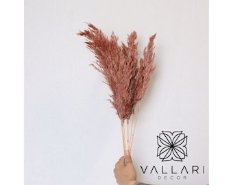 6PC 30" Dark Rose Pampas Grass/Bundle/Home/Rustic Wedding Decor/Brown Pampas/Ivory Pampas/Natural Pampas/2.5ft Long Pampas