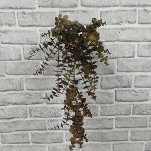 21" Fall Brown Green Eucalyptus Hanging Vine Bush - Artificial Cascading Autumn Foliage, Faux Trailing Greenery, Silk Mantle & Arch Floral