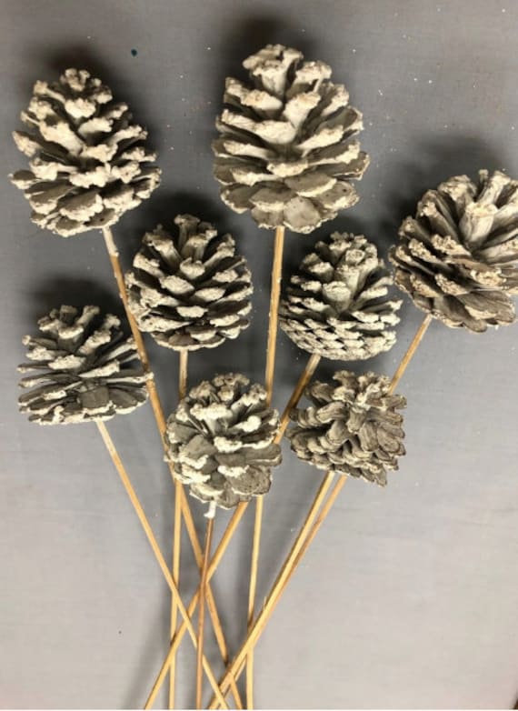 Hand-painted Glitter Pine Cones-decorations, Bowl Filler