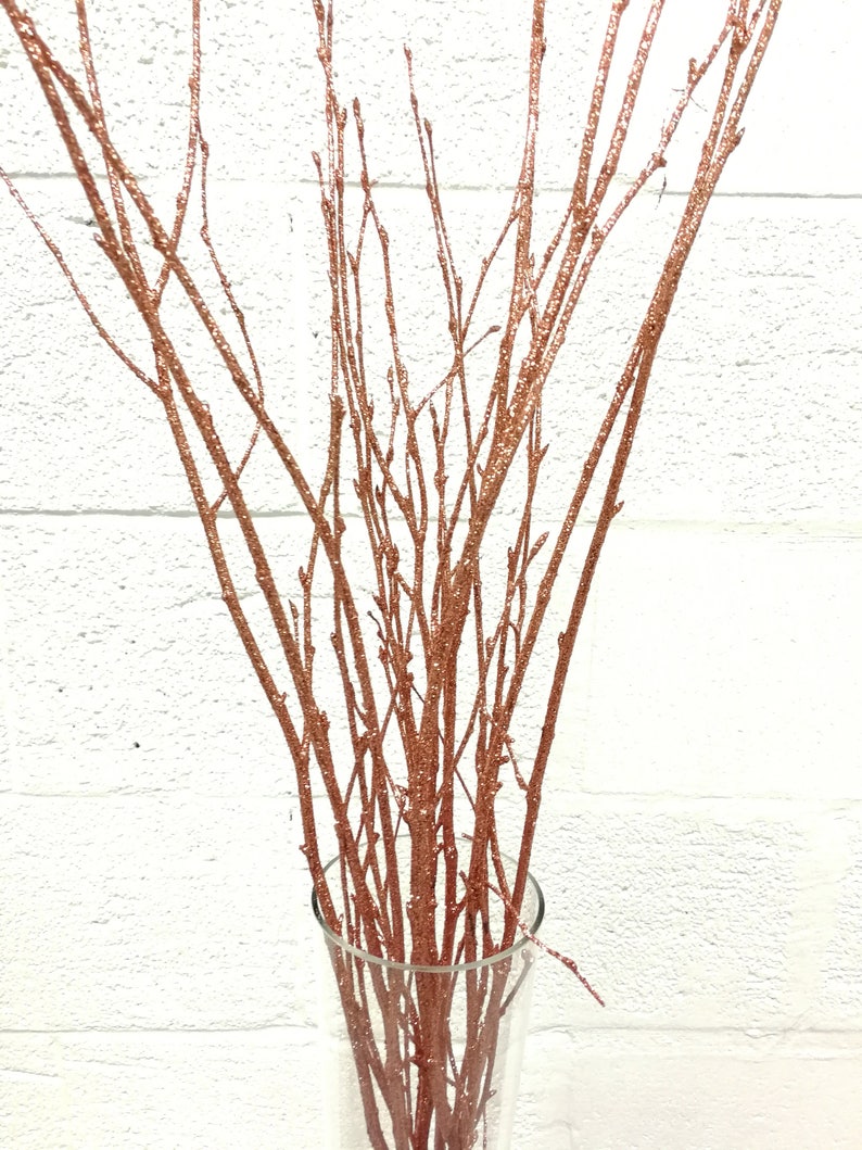 Rose Gold Branches/Rose Gold/Curly Twigs/Branches/Centerpiece Etsy