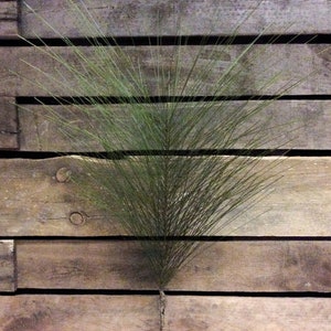 32" Pine Pick/Faux Spray/Autumn Decor/Holiday Decor/Fall Decor/Thanksgiving Decor/Wedding Decor