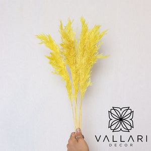 6PC 30&quot; Yellow Pampas Grass/Bundle/Home/Rustic Wedding Decor/Brown Pampas/Ivory Pampas/Natural Pampas/2.5ft Long Pampas