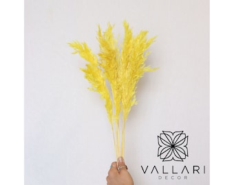 6 piezas de hierba de pampa amarilla de 76 cm/paquete/hogar/decoración rústica para bodas/pampa marrón/pampa marfil/pampa natural/pampa de 0,76 m de largo