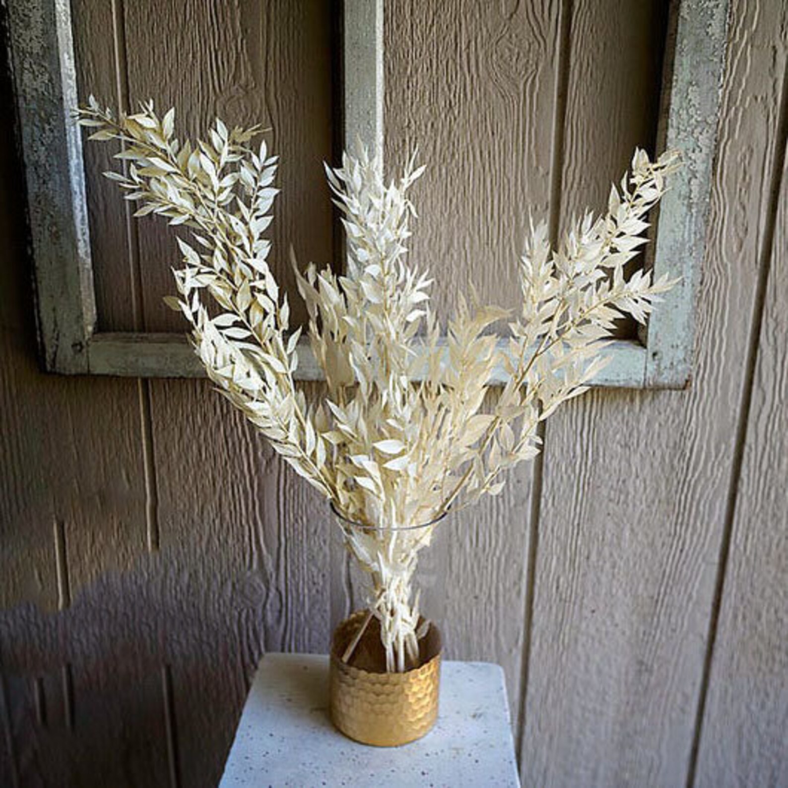 Ruscus Fillers 30