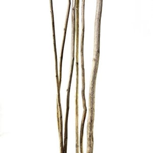 60&quot; Kamboi Sticks/Willow Natural Branch/Branches/Centerpiece Decor/ Winter/Decoration Branches/Branches/Twig Branches