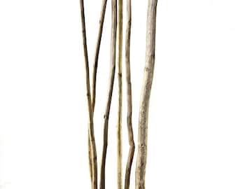Bâtons de kamboi de 60 po./Branche de saule naturel/Branches/Décor de centre de table/Hiver/Branche de décoration/Branche/Branche de brindille