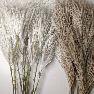 Ivory Pampas x 2ft  Pampas Grass/Pampas Bundle/Home Decor/Rustic Wedding Decor/Brown Pampas/Ivory Pampas/ Natural Pampas