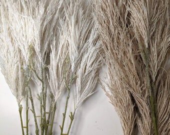 Ivory Pampas x 2 ft Pampasgras / Pampas Bundle / Wohnkultur / rustikale Hochzeitsdeko / braune Pampas / elfenbeinfarbene Pampas / natürliche Pampas