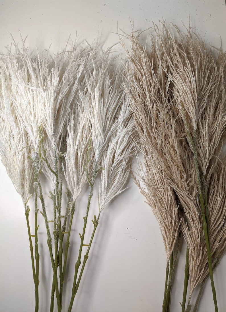 Ivory Pampas X 2ft Pampas Grass/pampas Bundle/home Etsy