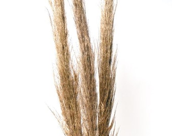 30" Light Brown Feather Pampas Grass/Pampas/Vibrant Pampas/Fluffy/Boho BlueHome Decor/Rustic Wedding/Brown Pampas