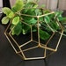 see more listings in the Terrariums section