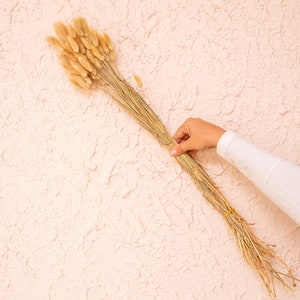 May include: A bunch of dried pampas grass in a natural beige color. The grass is tied together with a string and is being held by a hand.