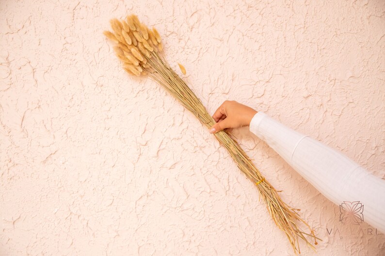 May include: A bunch of dried pampas grass in a natural beige color. The grass is tied together with a string and is being held by a hand.