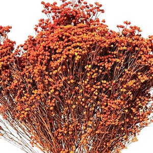 17&quot; Orange Broom Bloom/Fall/Thanksgiving/Table Setting/Home Decor/Dried Decor/Fall Season/Indoor Decor/Artificial