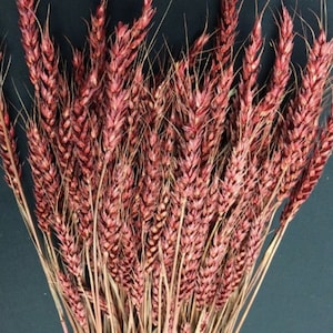 Wheat Mahogony Branches/Curly Twigs/Branches/Centerpiece decor/ Decoration Branches/Gold Branches/Glitter Branches/Silver Branches