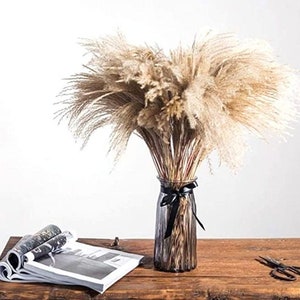 MINI 17&quot; 5-30pc Horsetail Natural Reed Grass Bundle/Pampas Bundle/Home Decor/Rustic Wedding Decor/Brown Pampas/Ivory Pampas/Natural Pampas