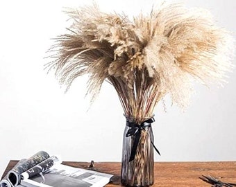 MINI 17" 5-30pc Horsetail Natural Reed Grass Bundle/Pampas Bundle/Home Decor/Rustic Wedding Decor/Brown Pampas/Ivory Pampas/Natural Pampas