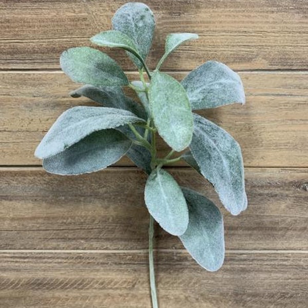 Lambs Ear Decor Etsy