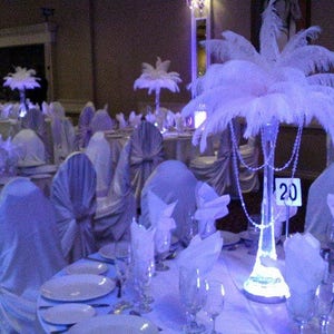 Acrylic Garland Vase Ostrich Feather Centerpiece for Weddings/Birthday/Holiday parties/Great Gatsby/ Roaring 20's/Hollywood Glam Themes image 1