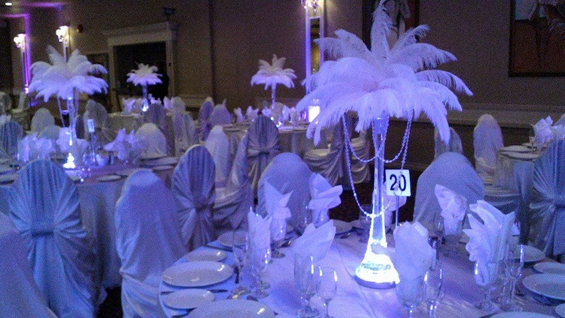 Acrylic Garland Vase Ostrich Feather Centerpiece for Weddings/Birthday/Holiday parties/Great Gatsby/ Roaring 20's/Hollywood Glam Themes image 1