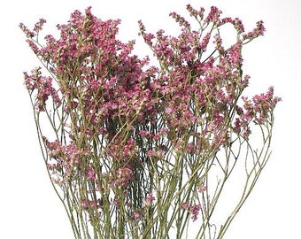 28" Pink Limonium Statice/Fall/Thanksgiving/Table Setting/Home Decor/Faux Decor/Faux Decoration/Fall Season/Indoor Decor/Artificial