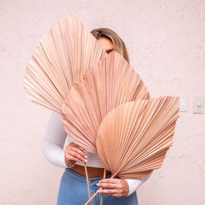 3pc 50&quot; Blush Anahaw/ivory Palm/red palm/brown palm/Home Decor/VaseDecor/CenterpiecWedding Decor/Silk Flowers/Anahaw leaves