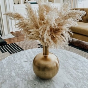 6-24pcs- 2.5ft 30" x Golden/Ivory/Cream Pampas Grass/Pampas Bundle/Home DecorWedding Decor/Brown Pampas/ Ivory Pampas/ Natural Pampas