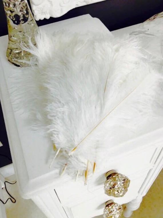 Elegant Ostrich Feather Trim - Wholesale Feathers