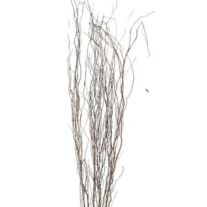 Taupe Willow Natural Branch/Curly Twigs/Branches/Centerpiece decor/ Winter/Decoration Branches/Branches/Glitter Branches/Silver Branches