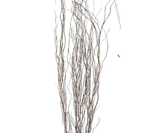 Taupe Willow Natural Branch/Curly Twigs/Branches/Centerpiece decor/ Winter/Decoration Branches/Branches/Glitter Branches/Silver Branches