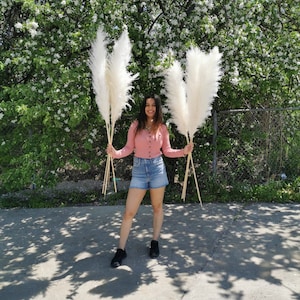 Ivory/ Natural/Golden Pampas 55"& 45" Natural Pampas Grass/Pampas Bundle/Home Decor/Rustic Wedding Decor /Brown Pampas/Fluffy/Boho Chic