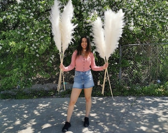 Ivory/ Natural/Golden Pampas 55"& 45" Natural Pampas Grass/Pampas Bundle/Home Decor/Rustic Wedding Decor /Brown Pampas/Fluffy/Boho Chic